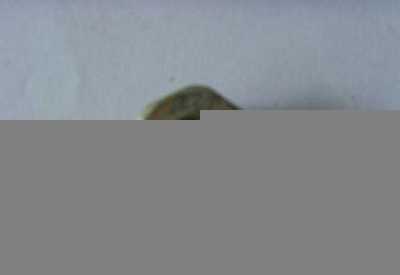 熱導(dǎo)絲輪,過絲輪,軋輥高清圖片-世界工廠網(wǎng)