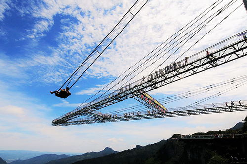 懸崖秋千,在挑戰極限中觸摸天空
