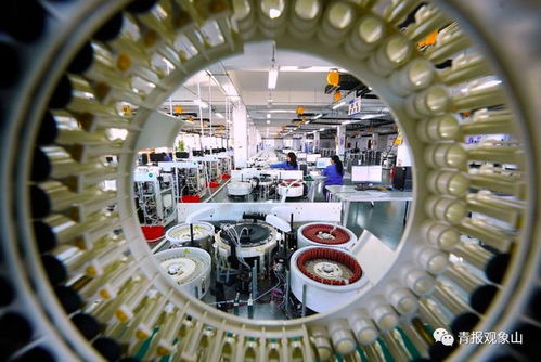 培育一批世界級集群 青島定調 優先發展制造業